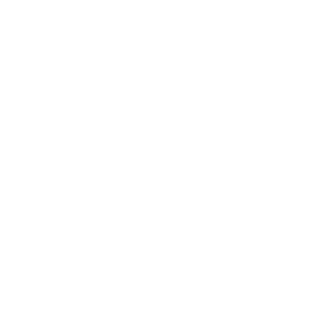 PayPal QR